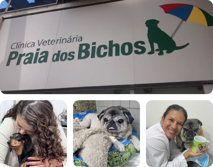 centro veterinário praia dos bichos na Barra da Tijuca